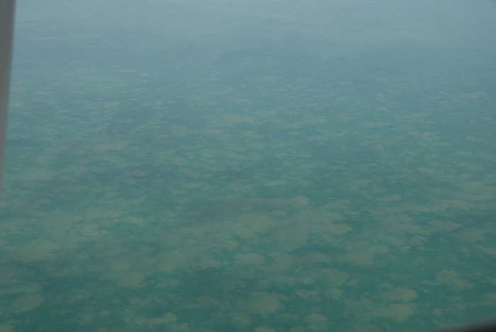 Why are some seas blue, others black and others translucent? Why are some seas blue, others black and others translucent?